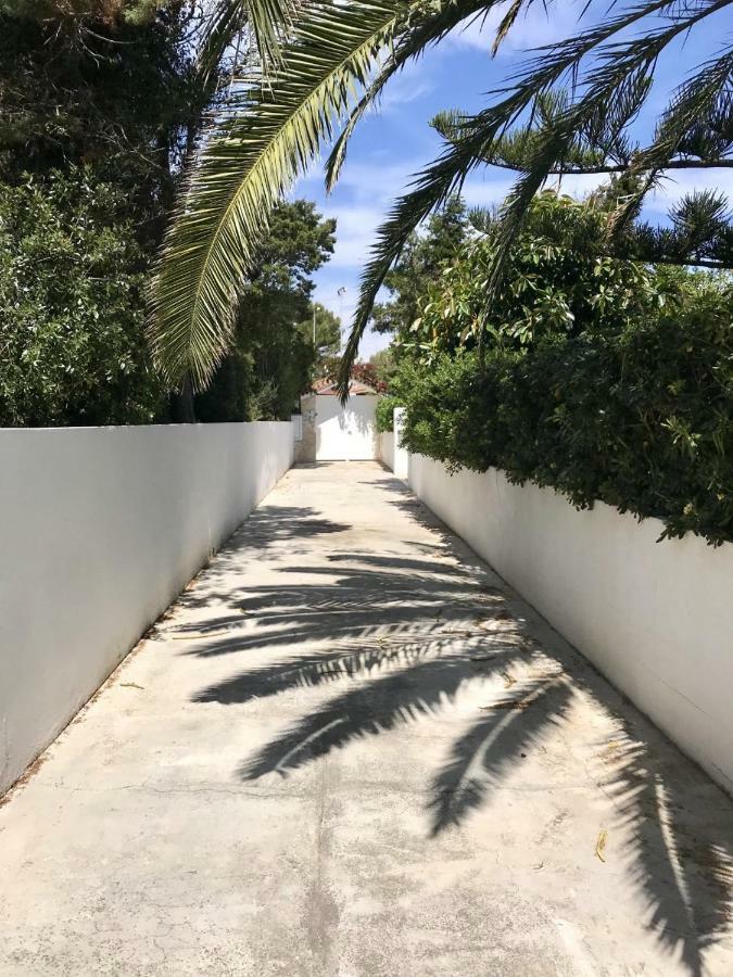 Chalet La Rosa كالا بلانكا المظهر الخارجي الصورة